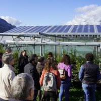 Agri-PV en Valais : quand innovation agricole et énergie solaire se rencontrent
