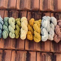 Un modèle innovant pour l’industrialisation des teintures naturelles