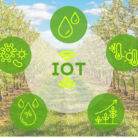 Agrismart : quand l’IoT transforme l’agriculture vers plus de précision, de durabilité et de résilience