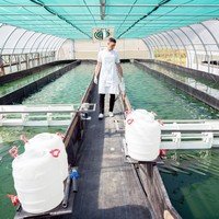 L’écosystème de PhytoArk a permis de mettre en valeur la spiruline « made in Valais »